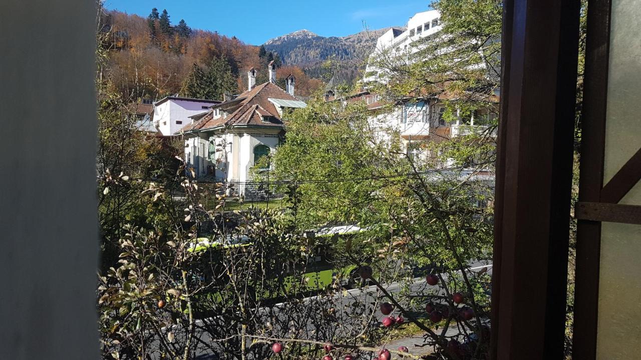 Hotel Pensiunea Casa Noastra Sinaia Exteriér fotografie