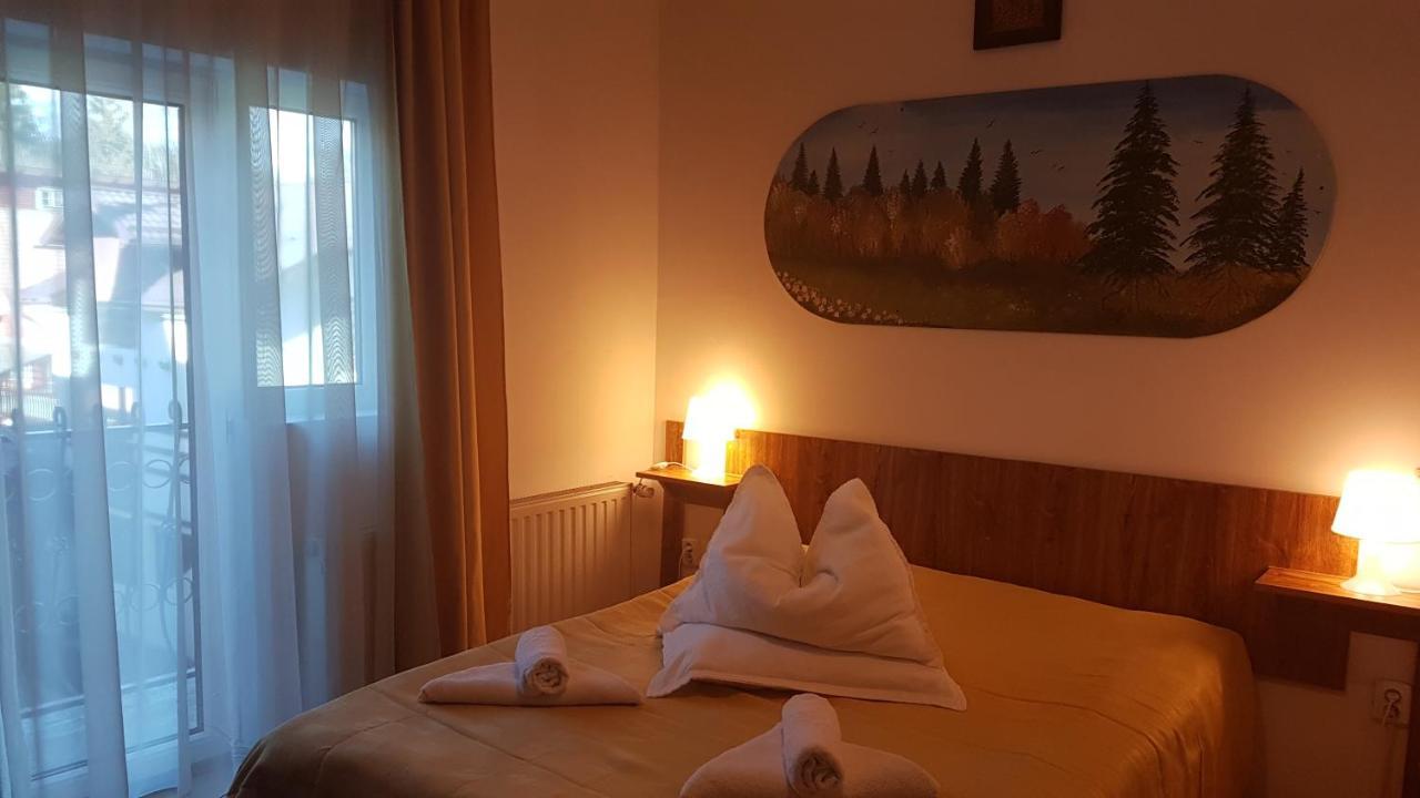 Hotel Pensiunea Casa Noastra Sinaia Exteriér fotografie