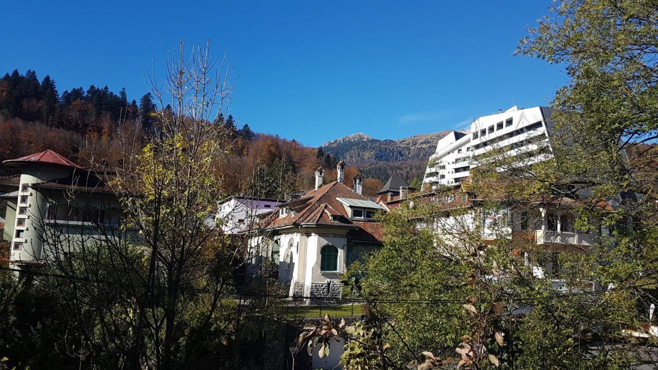 Hotel Pensiunea Casa Noastra Sinaia Exteriér fotografie