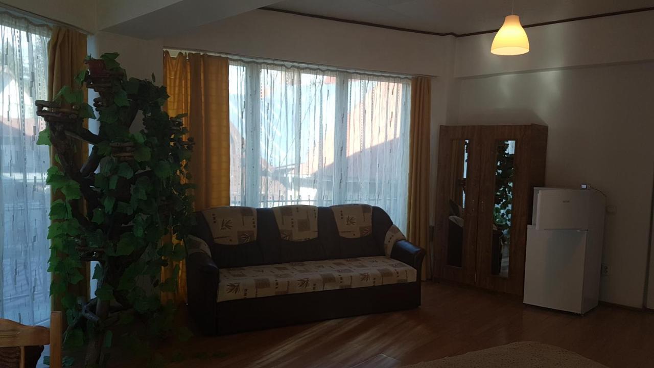 Hotel Pensiunea Casa Noastra Sinaia Exteriér fotografie
